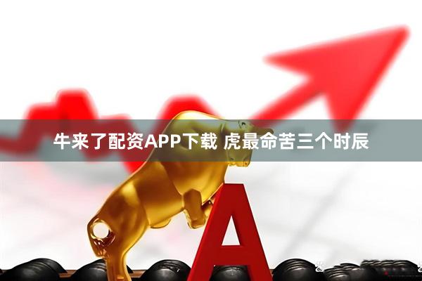 牛来了配资APP下载 虎最命苦三个时辰